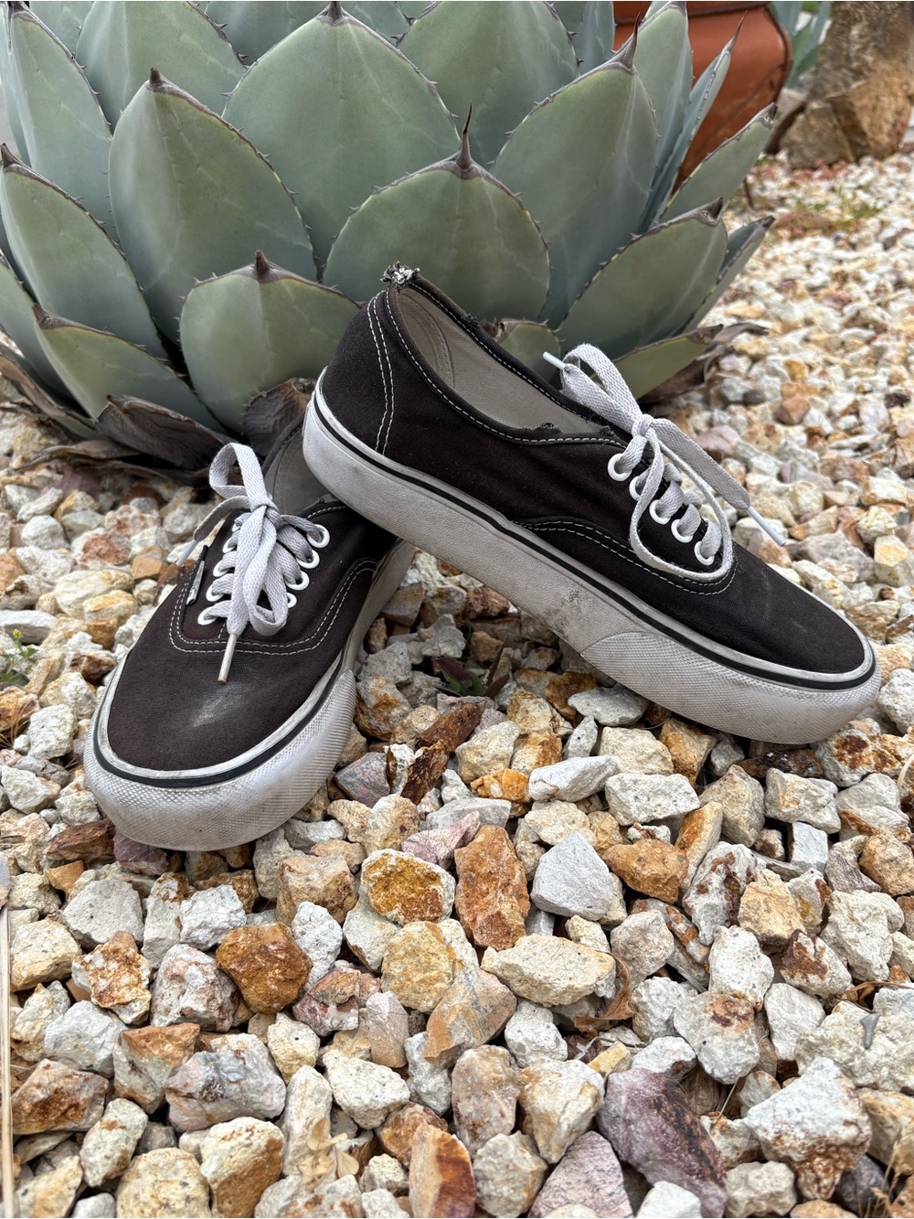 Vans Women’s Platform Sneakers in Black with White Laces